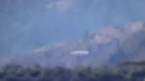 UFO is seen over forest