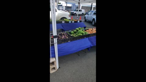 farmer's market second time (7/6/24)