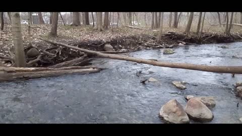 Prospecting my claim on Mill creek