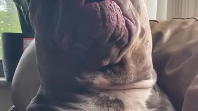 Let me kiss my big baby. Don't give me a hard time