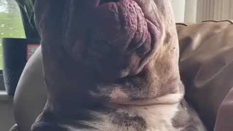 Let me kiss my big baby. Don't give me a hard time