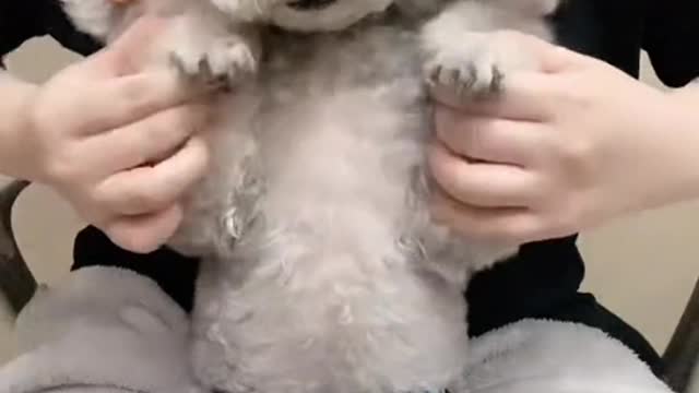 Puppy is never a negative word. For me, you are all kinds of weather and mood.
