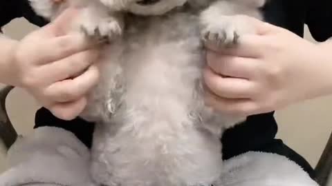 Puppy is never a negative word. For me, you are all kinds of weather and mood.