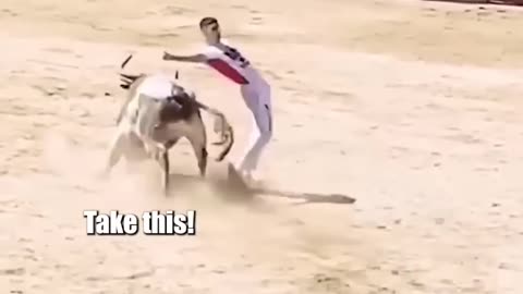 Bull fight with the man