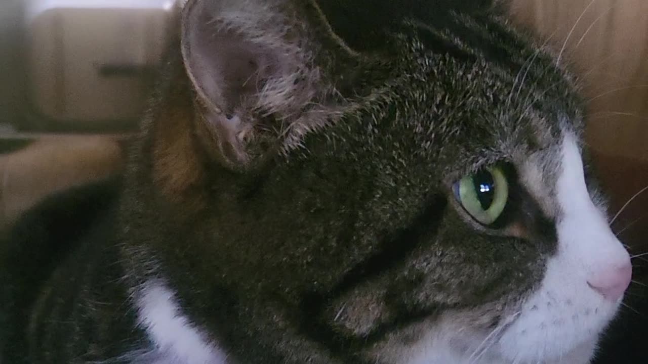 Spoooky Halloween tale