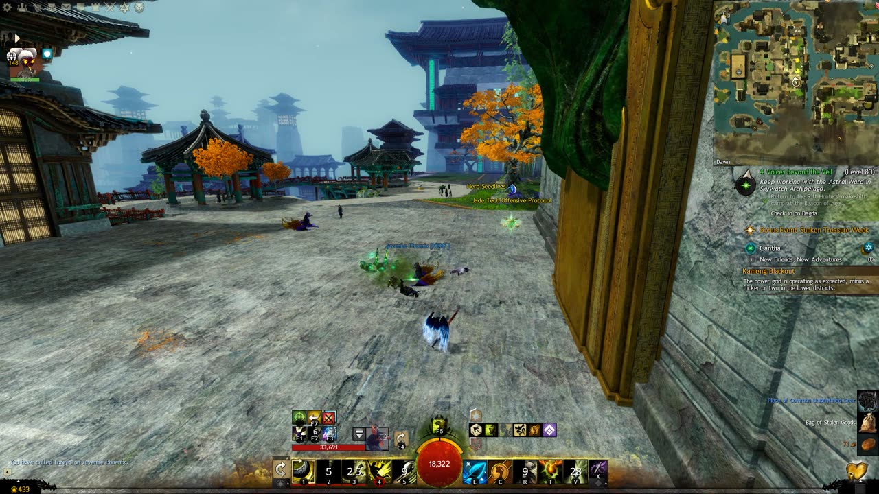 Gw2 - Ranger Juvenile Phoenix Pet Location (New Kaineng City)