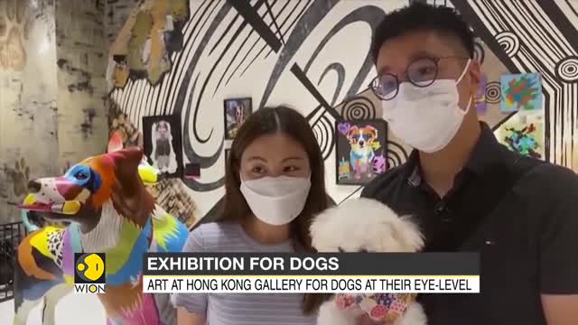 Exhibition For Dogs : Art at Hong Kong gallery for dogs at their eye - level