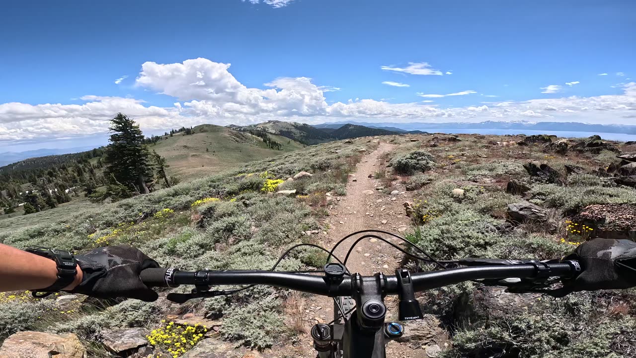 [MTB] Tahoe Rim Trail at Marlette Peak Vista (Tahoe, NV)