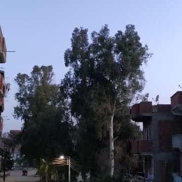 Sunrise in the Egyptian countryside