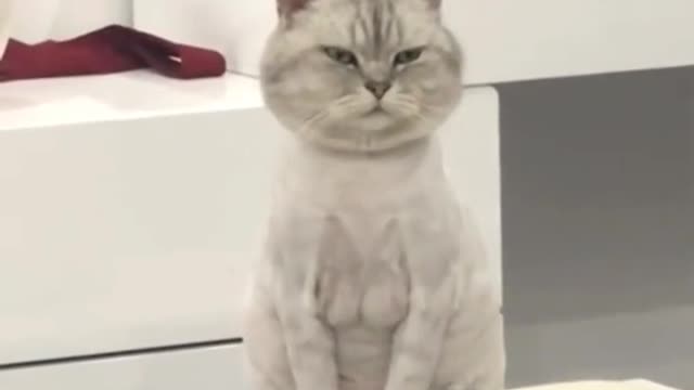 😂🥰🤣