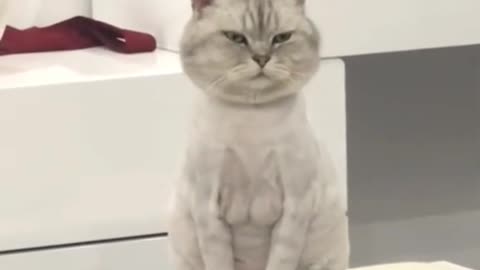 😂🥰🤣