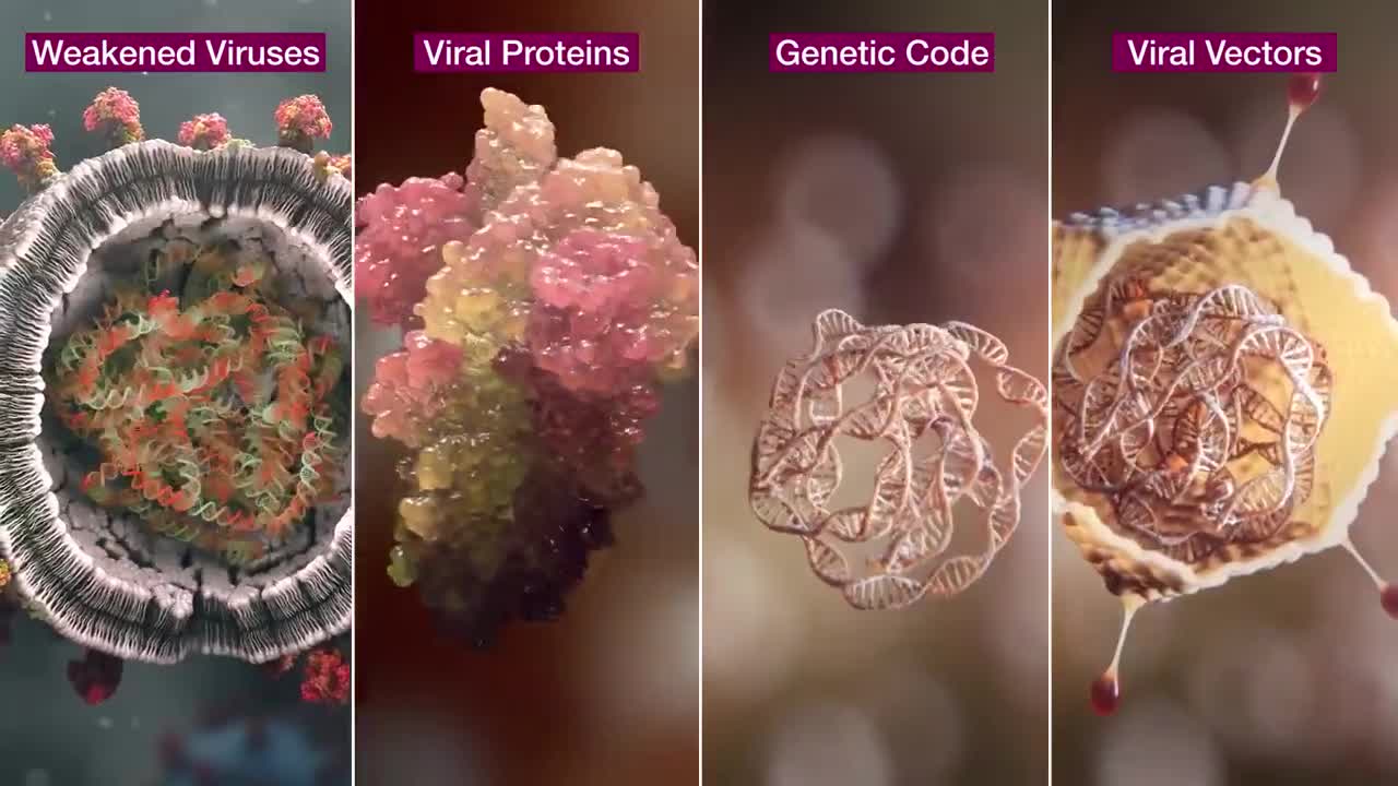 How AstraZeneca's Covid-19 Vector Vaccine is Made Animation