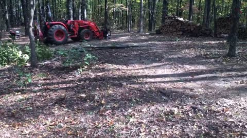 Missouri Project: Recreational Area Thinning Treatment
