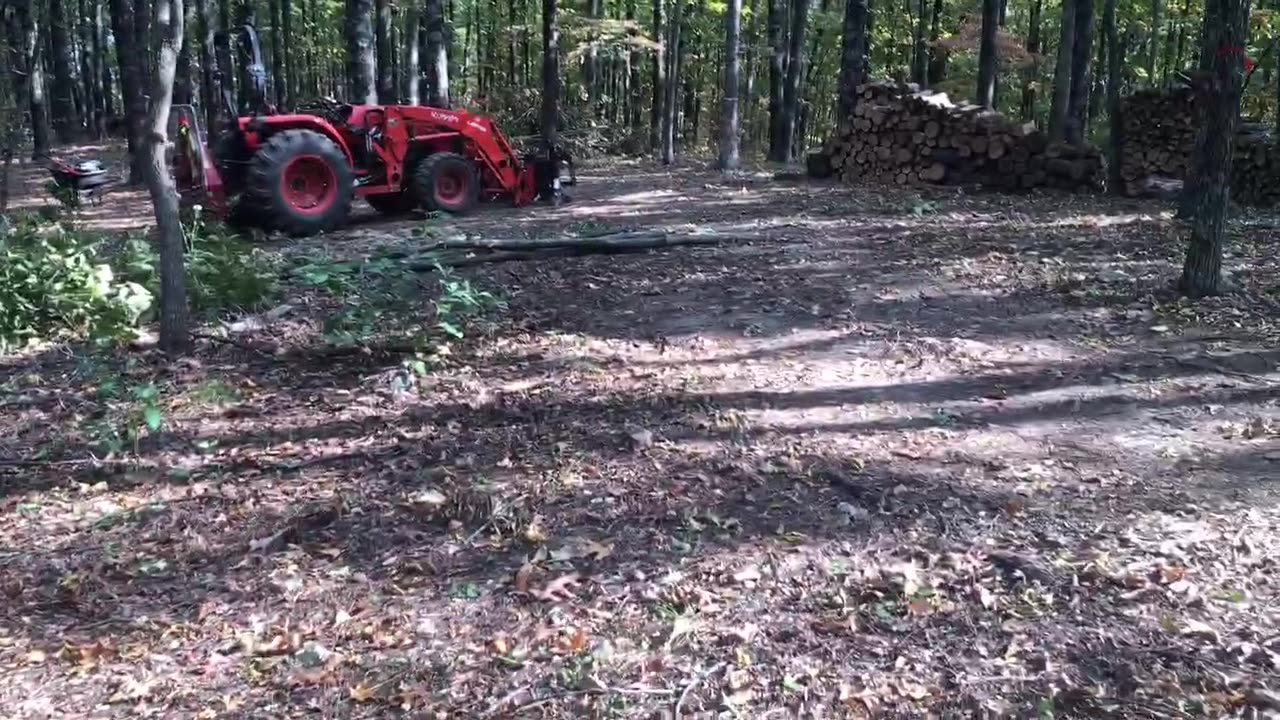 Missouri Project: Recreational Area Thinning Treatment