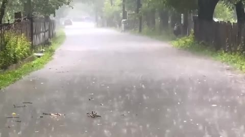Beautiful Nature. Beautiful Rain 🌧️