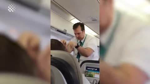 Flight Attendant - Viral Funny Comedian Pre Flight Advice