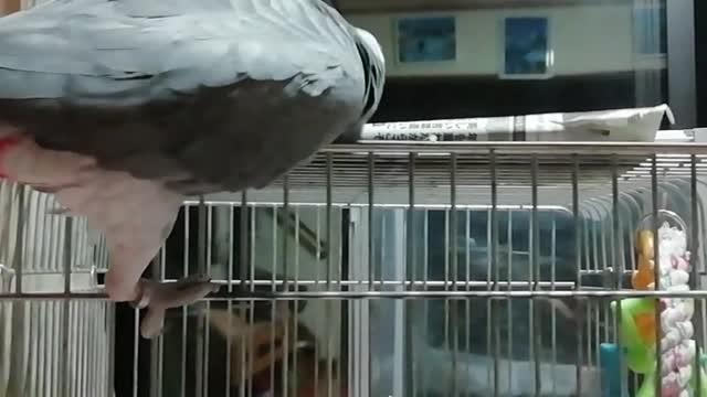 He drops the newspaper. Drop it over there so you can't pick it up the second time!