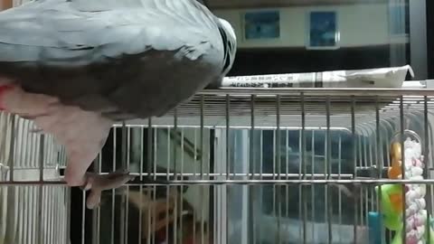 He drops the newspaper. Drop it over there so you can't pick it up the second time！