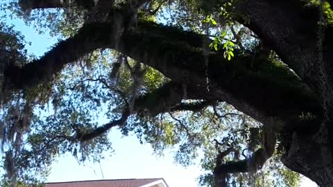 St. Augustine, Florida dating back to the 1500's
