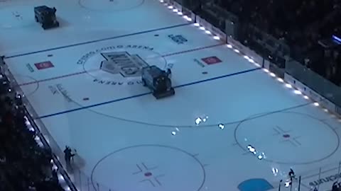 Kings FANS!