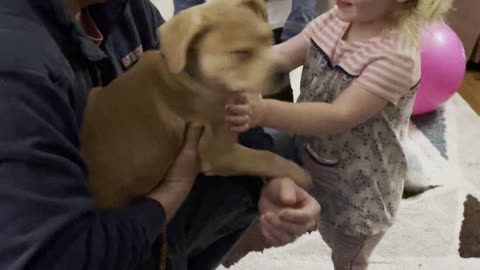 New pup Mac