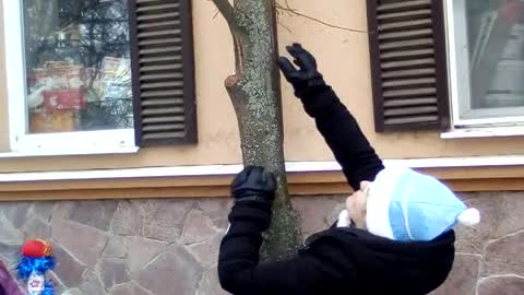 Russian Santa Rescues Kitty from Tree
