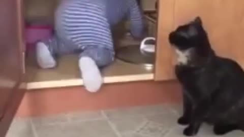Funny cat and baby