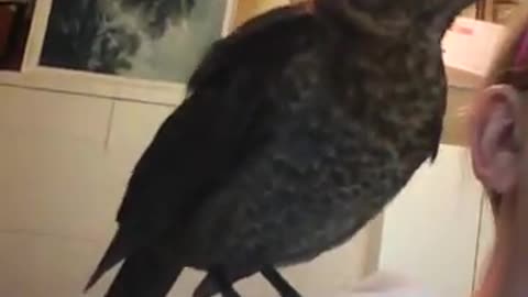"Maybe Later"...the neighbor isn't sure about our birdy landing on her shoulder