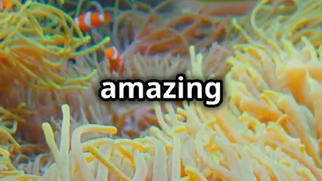 Nemo's Real Life!! #FoodChain #Plankton #WildlifeBiology #NatureDocumentary #ocean #explore #shorts