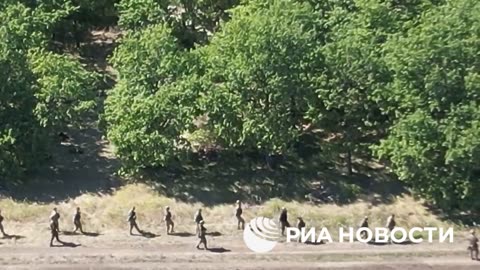 🇷🇺🇺🇦24 Ukrainian Armed Forces militants surrendered to Russian troops
