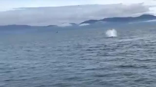 See the scare that these tourists took