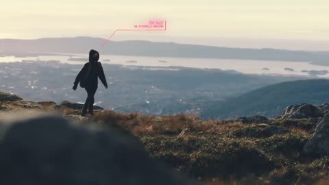 Alan Walker - Alone