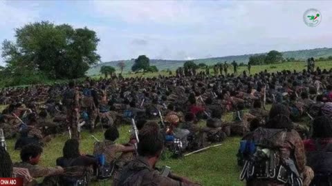 Oduu Galgala ONM-ABO Fulbaana 29-2024 itti dhiyaadhaa!