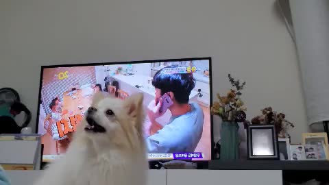 where is my snacks?
