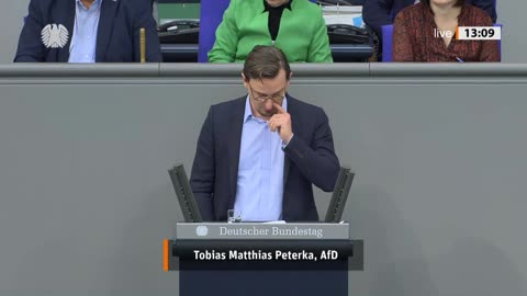 Tobias Matthias Peterka Rede vom 10.10.2024 – Bundesverfassungsgericht (Änderung GG und BVerfGG)