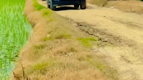 Sysstttummm 💥💥