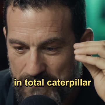 Andrew Huberman's Spirit Animal #spiritanimal #identity #modernwisdom