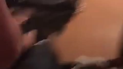 Guy running into door and breaking it