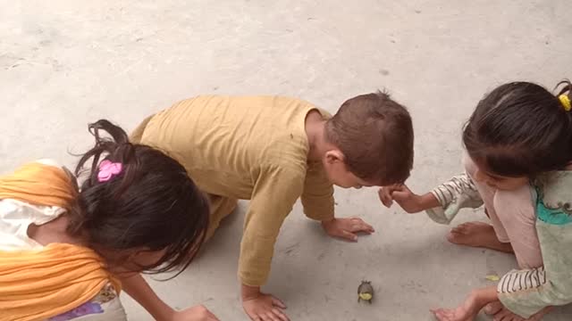 The children catching the bird