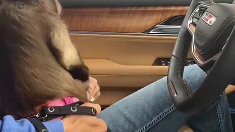 just cruising around!!