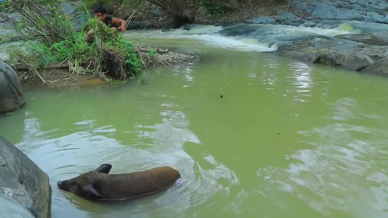 Jungle my life | Catch big pig in water | Roasted big pig for dinner-15
