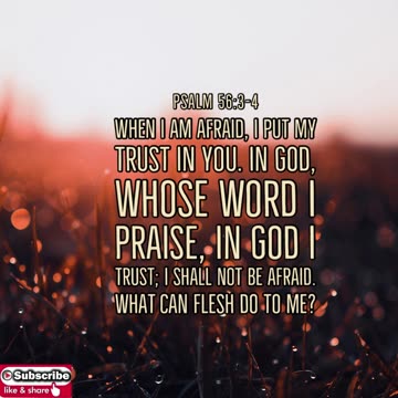 Morning Prayer of Confidence #youtubeshorts #grace #jesus #mercy #faith #fyp #blessed #love #trust