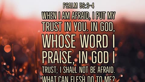 Morning Prayer of Confidence #youtubeshorts #grace #jesus #mercy #faith #fyp #blessed #love #trust