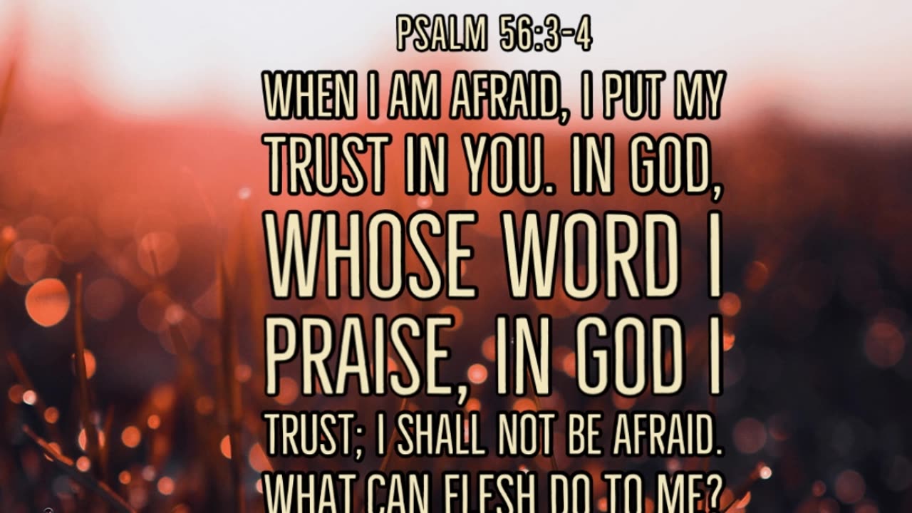 Morning Prayer of Confidence #youtubeshorts #grace #jesus #mercy #faith #fyp #blessed #love #trust