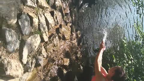 DogQueen of the lake jumping