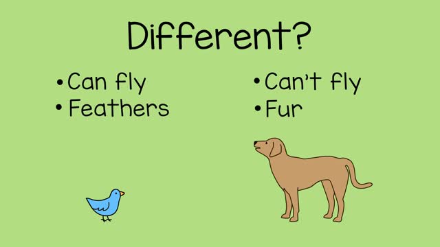 How to compare animals