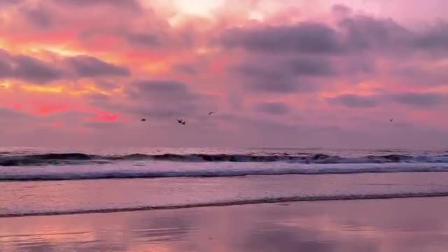 Walk lightly, live simply, work at sunrise and rest at sunset, and enjoy life as you please