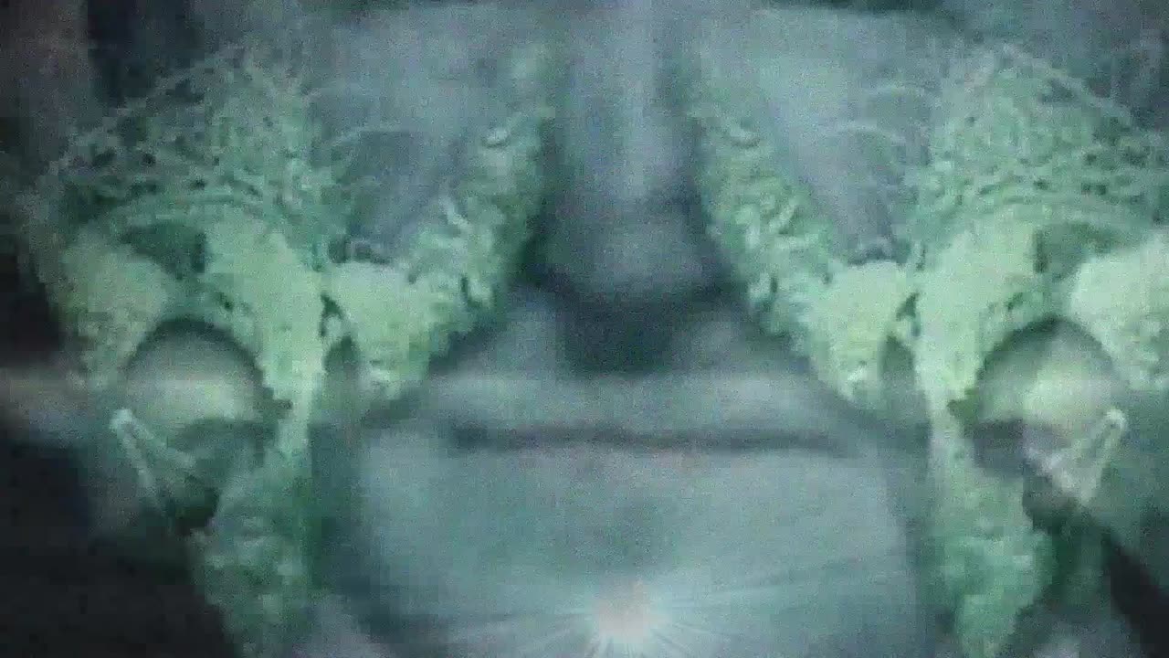 I Know How Numb We've Become (U.S.A. CAMPAIGN 2024)