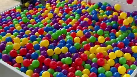 Building a Puppy Ball Pit! #cat #cute #kitten #pets #meow #videos #shorts #dog