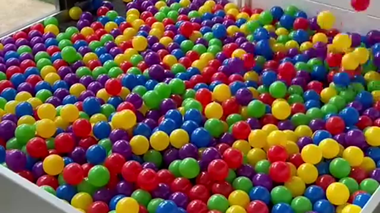 Building a Puppy Ball Pit! #cat #cute #kitten #pets #meow #videos #shorts #dog